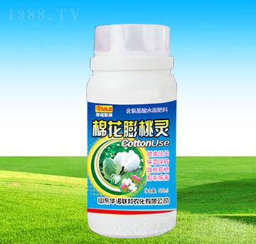 �޻������`-�A�Z(li��n)��