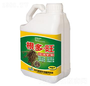 ������-�|������