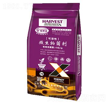 ������΢�������-ֲ��ʢ-ֲ�S�r��