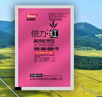 �������t���������ͣ�