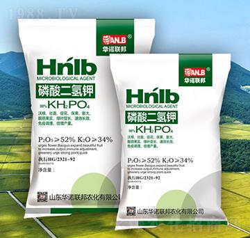 ���������~���-�A�Z