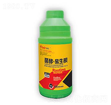 ���͡�������-�|����(r��n)��