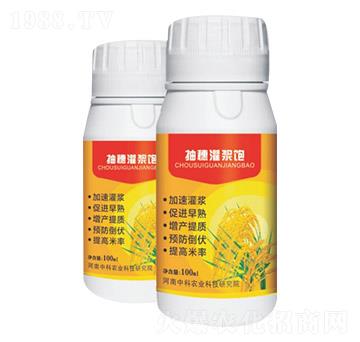 ������{�-�п��r�I(y��)