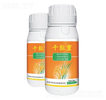 ǧ����-�п��r�I(y��)