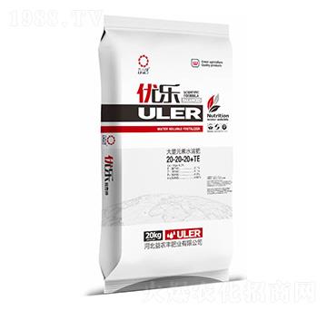 20kg����Ԫ��ˮ�ܷ���20-20-20+TE-��(y��u)��(l��)-���r(n��ng)�S�ʘI(y��)