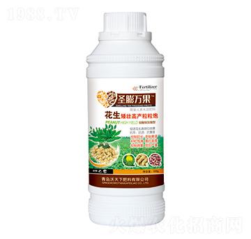 花生矮壯高產(chǎn)粒粒飽-圣膨萬果-沃天下