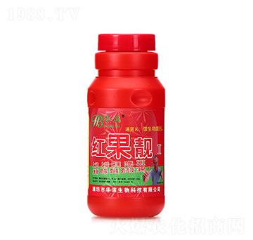 �t���n��500ml��-�A�I