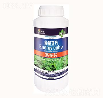 ����-��������-���λ���