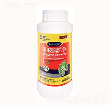 ��Ƥ������-���λ���