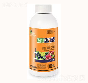1000ml��⛄���Һ-���λ���