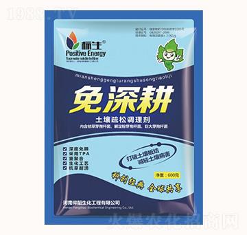 ���������{�턩-�����-���λ���