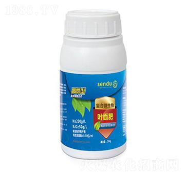 �ߵ��͏ͺ�΢�����~���-ɭ��