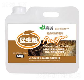 �ͺ�΢�������-������-ؐ������