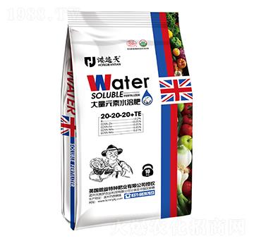 ����Ԫ��ˮ�ܷ���20-20-20+TE-�t����-��巉�(m��ng)