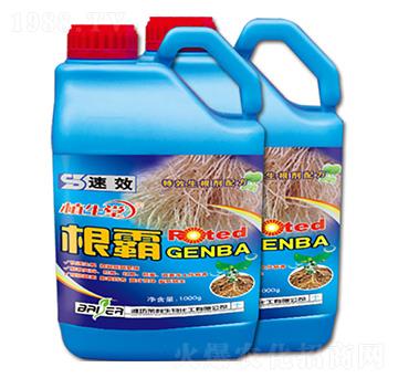 ���� ֲ���� �R������