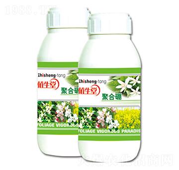 �ۺ��� ֲ���� �R������