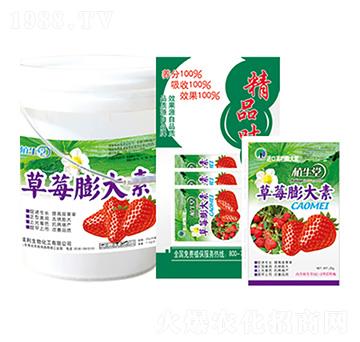 ��ݮ����� ֲ���� �R������