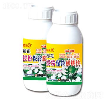 �޻��ڷ۱�����ҿ� ֲ���� �R������