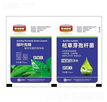 �G�~���h+�ݲ�ѿ�ߗU�� ����