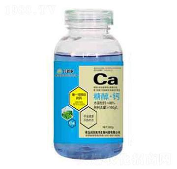 �Ǵ��} �ɹܼ� ����