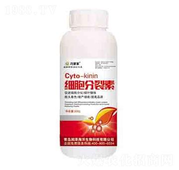 ��(x��)�������� ����