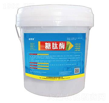 ����ø-�T���M����