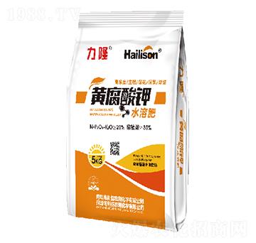 �S�����ˮ�ܷ� ��¡ ������