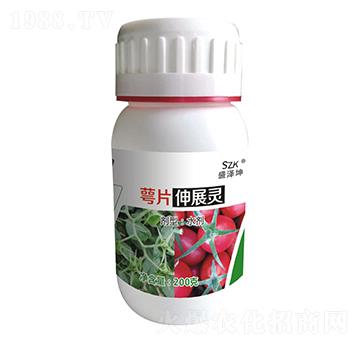 ��Ƭ��չ�` ʢ����