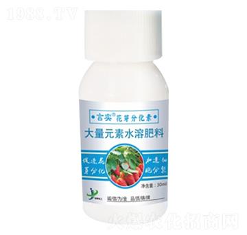 大量元素水溶肥 言實·花芽分化素 金牌化工