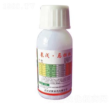 20%���졤�R���� ��¡