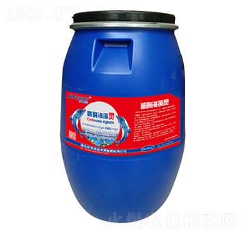 ̼ø�����` ���r(n��ng)ʩ���S