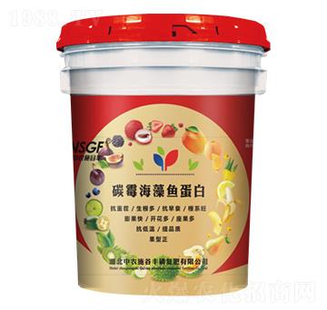 ̼ù�����~���� ���rʩ���S