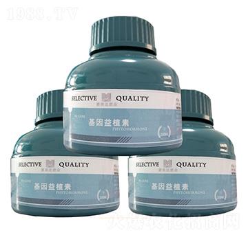 ������ֲ�� �ɊW�_(d��)