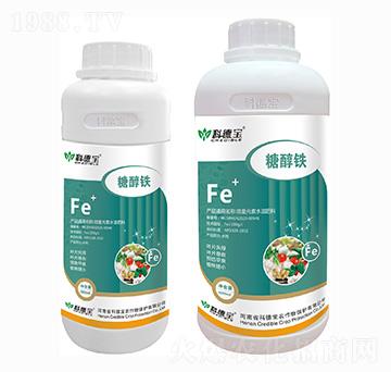 �Ǵ��F �Ƶ�