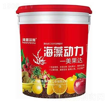 ������� �����_ ���ջ��W