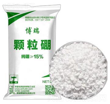 �w����ʩ��� �����r(n��ng)��