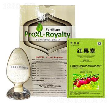 �̴�ʩ���t���� ����r(n��ng)�I(y��)