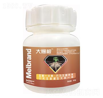 �󱬸� ������