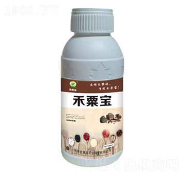 ��ˎ�Č�(zhu��n)�÷� ���ڌ� ��Mӯ�r(n��ng)�I(y��)