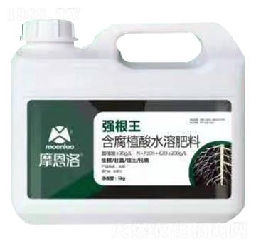 含腐植酸水溶肥料 強根王 摩恩洛