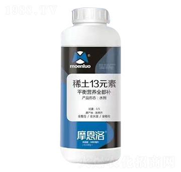 ϡ��13Ԫ�� Ħ����