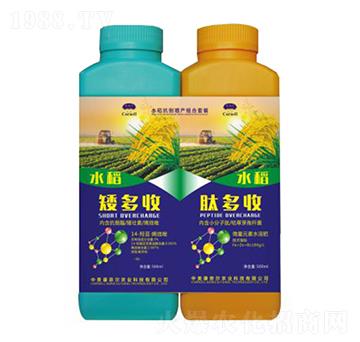 ˮ���������a(ch��n)�M���ײ�-������+�Ķ���-���Π�