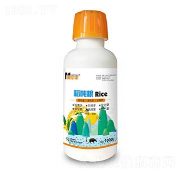 �����Z-�����S-���Π�