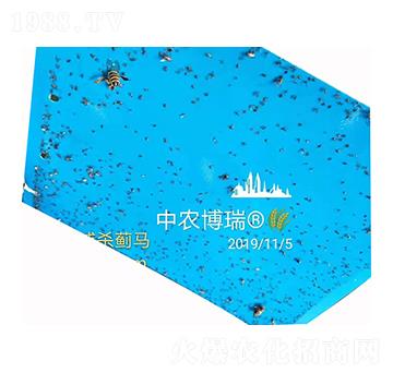 ���T�����E�R ���r(n��ng)����