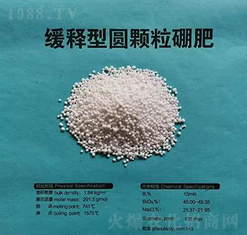 ����͈A�w����� ���S����