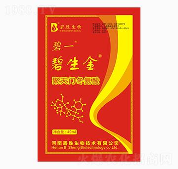 �����T������ ������ �̄�����