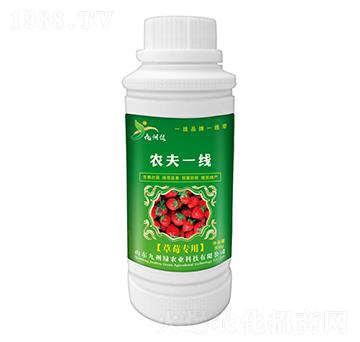 草莓專用葉面肥 農(nóng)夫一線 九州綠