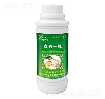 蔥姜蒜專(zhuān)用葉面肥 農(nóng)夫一線 九州綠