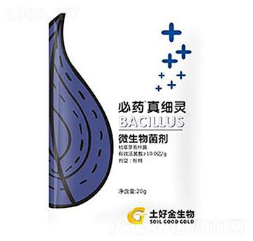 20g�漚�` ���ý�