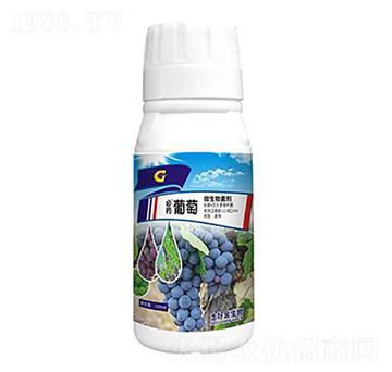 100ml���� ���ý�